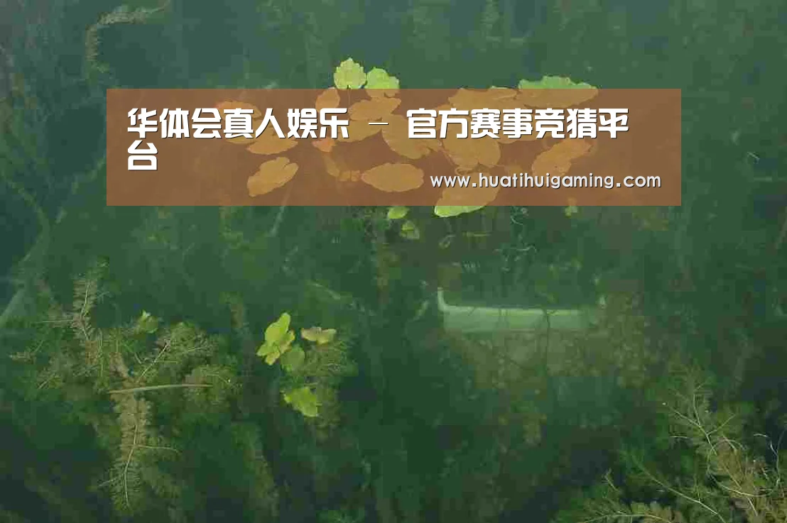 案例展示三(图1)