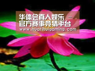 产品名称五