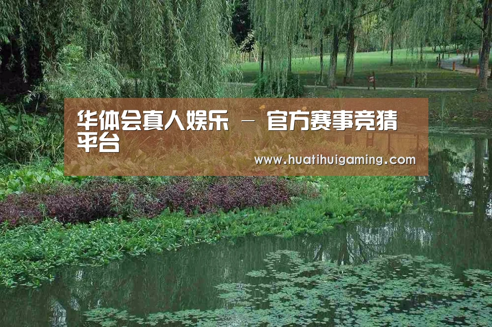 案例展示一