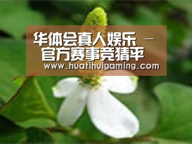 产品名称三