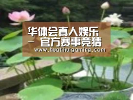 产品名称一