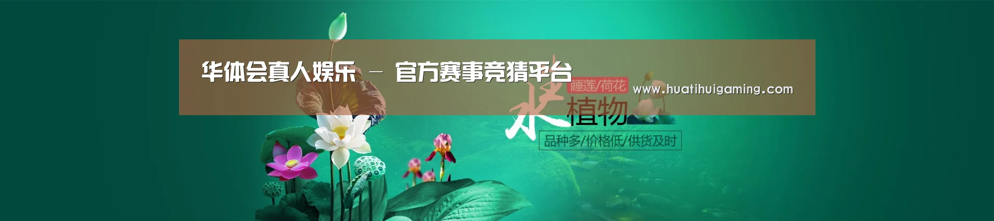 鲜花水草花卉网站模板