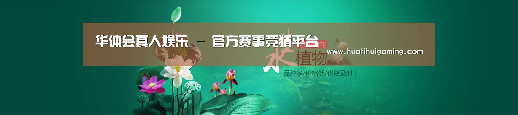 鲜花水草花卉网站模板